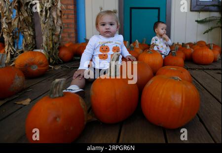 191020 -- IRVINE U.S., 20. Oktober 2019 -- Kinder posieren mit Kürbissen im Irvine Regional Park in Irvine, Kalifornien, USA, 19. Oktober 2019. Im Irvine Regional Park fand eine Reihe von Aktivitäten statt, um das bevorstehende Halloween zu feiern. U.S.-CALIFORNIA-IRVINE-KÜRBISSE LixYing PUBLICATIONxNOTxINxCHN Stockfoto