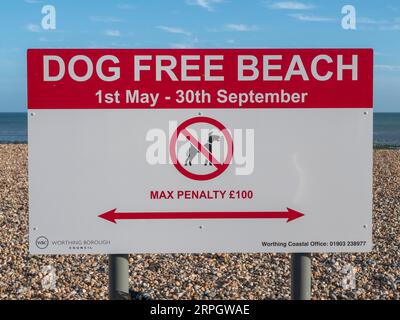 Schild „Dog Free Beach“ in Worthing Beach, West Sussex, Großbritannien. Stockfoto