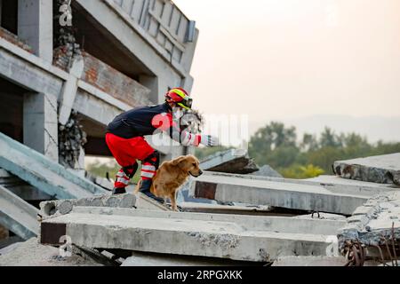 191024 -- PEKING, 24. Oktober 2019 -- Ein Mitglied des China International Search and Rescue Team sucht Überlebende mit einem Rettungshund an einer simulierten Erdbebenszene in der China National Training Base for Urban Search and Rescue in Peking, Hauptstadt von China, 22. Oktober 2019. Das China Search and Rescue Team und das China International Search and Rescue Team haben am Mittwoch erfolgreich UN-Bewertungen bestanden, was China zum ersten asiatischen Land macht, das zwei schwere, von den Vereinten Nationen zertifizierte Urban Search and Rescue USAR Teams besitzt. CHINA-PEKING-USAR-TEAMS-ERHALT DER UN-ZERTIFIZIERUNG CN SHENXBO Stockfoto