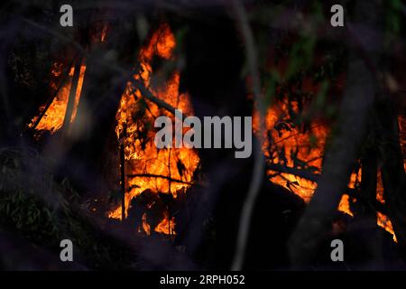 191025 -- LOS ANGELES, 25. Oktober 2019 -- Foto aufgenommen am 24. Oktober 2019 zeigt ein Feuer im Sonoma County, dem US-Bundesstaat Kalifornien. Am Donnerstag brannten in Kalifornien Dutzende von Gebäuden nieder und Zehntausende von Einwohnern mussten ihre Häuser evakuieren. Foto von /Xinhua U.S.-CALIFORNIA-WILD FIRE LixJianguo PUBLICATIONxNOTxINxCHN Stockfoto