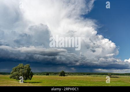 Heftige Gewitterfront mit bedrohlicher Wolkenbildung, aus der teilweise Regen fällt, über eine flache Auenlandschaft mit Wiesen und einzelner tr Stockfoto