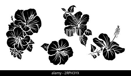 Set tropischer Hibiskusblüten-Vektor-Silhouetten Stock Vektor