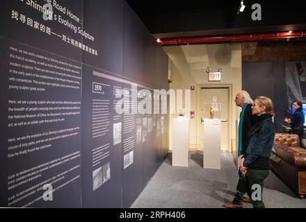 191029 -- NEW YORK, 29. Oktober 2019 -- Besucher lesen die Einführung bei Departure and Return , eine Ausstellung der Werke des spätchinesischen Bildhauers Liu Shiming in New York, USA, 28. Oktober 2019. Die Ausstellung Departure and Return, die vom 28. Oktober bis 8. November im Asian Cultural Center stattfindet, zeigt Dutzende Bronzeskulpturen von Liu, der 2010 im Alter von 84 Jahren verstorben ist. Die Ausstellung ist der erste Teil einer Welttour durch Lius Werke, die von der Central Academy of Fine Arts organisiert wird, wo Liu graduierte und lehrte. US-NEW YORK-CHINESISCHE BILDHAUER-AUSSTELLUNG WANGXYING PUB Stockfoto