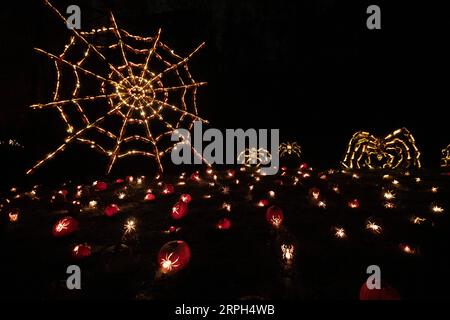 191030 -- NEW YORK, 30. Oktober 2019 -- beleuchtete Jack O Laternen werden bei der Great Jack O Lantern Blaze in Croton-on-Hudson im Bundesstaat New York, USA, 29. Oktober 2019 gesehen. Mehr als 7.000 beleuchtete Jack O Laternen, alle von Handwerkern entworfen und handgeschnitzt, sind während der Show zu sehen, die in diesem Jahr voraussichtlich mehr als 180.000 Besucher anziehen wird. U.S.-NEW YORK-KÜRBIS-LATERNE WangxYing PUBLICATIONxNOTxINxCHN Stockfoto