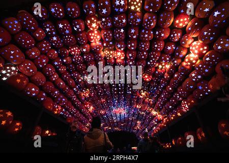 News Bilder des Tages 191030 -- NEW YORK, 30. Oktober 2019 -- Besucher sehen die beleuchteten Jack O-Laternen am Great Jack O Lantern Blaze in Croton-on-Hudson, New York State, USA, 29. Oktober 2019. Mehr als 7.000 beleuchtete Jack O Laternen, alle von Handwerkern entworfen und handgeschnitzt, sind während der Show zu sehen, die in diesem Jahr voraussichtlich mehr als 180.000 Besucher anziehen wird. U.S.-NEW YORK-KÜRBIS-LATERNE WangxYing PUBLICATIONxNOTxINxCHN Stockfoto