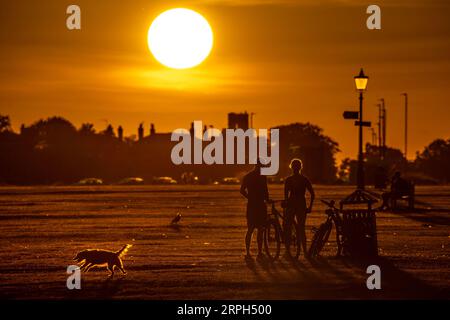 London, Großbritannien. September 2023. Wetter in Großbritannien: Hitzewelle in der Stadt. Die Einheimischen genießen einen warmen Sonnenuntergang am Abend im Blackheath Park. Das Met Office prognostiziert für die Woche Temperaturen von 30 °C, da die Auswirkungen einer sogenannten iberischen Wolke in weiten Teilen Großbritanniens spürbar sein werden. Guy Corbishley/Alamy Live News Stockfoto