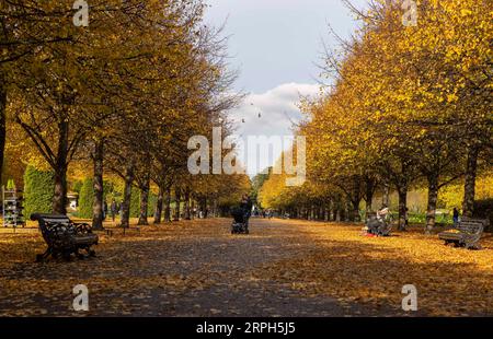 191030 -- LONDON, 30. Oktober 2019 -- am 30. Oktober 2019 genießen die Leute Freizeit im Regent s Park in London, Großbritannien. GROSSBRITANNIEN-LONDON-HERBSTLAUB HanxYan PUBLICATIONxNOTxINxCHN Stockfoto