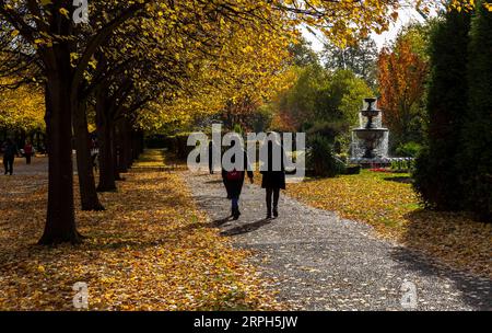 191030 -- LONDON, 30. Oktober 2019 -- am 30. Oktober 2019 genießen die Leute Freizeit im Regent s Park in London, Großbritannien. GROSSBRITANNIEN-LONDON-HERBSTLAUB HanxYan PUBLICATIONxNOTxINxCHN Stockfoto