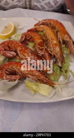 Spanische Meeresfrüchte, knusprig frittierte Babykraken, Fisch, Calamari-Ringe mit Zitrone serviert, Nahaufnahme Stockfoto