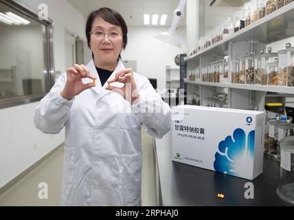 191103 -- SHANGHAI, 3. November 2019 -- Geng Meiyu, Schlüsselerfinder des Medikaments GV-971, auch Forscher des Shanghai Institute of Materia Medica unter der Chinesischen Akademie der Wissenschaften, zeigt das Beispielmodell des neuen Medikaments in Shanghai, Ostchina, 3. November 2019. Ein selbst gewachsenes Medikament zur Behandlung der Alzheimer-Krankheit wurde von der National Medical Products Administration genehmigt, um den Markt zu erreichen, so seine Entwickler am Samstag. Das Medikament, GV-971, wurde von der Ocean University of China, Shanghai Institute of Materia Medica unter der Chinesischen Akademie der Wissenschaften und Green Valley Pharmaceutical Co., Ltd, entwickelt. Stockfoto