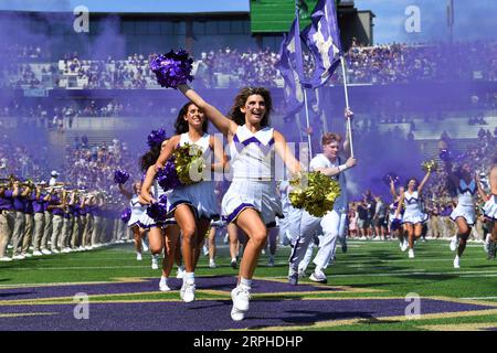 Seattle, WA, USA. September 2023. Die Cheerleader von Washington Husky führen das Team vor dem NCAA-Fußballspiel zwischen den Boise State Broncos und den Washington Huskies im Husky Stadium in Seattle, WA, auf das Feld. Steve Faber/CSM/Alamy Live News Stockfoto