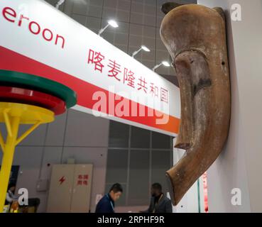 191107 -- SHANGHAI, 7. November 2019 -- Foto aufgenommen am 7. November 2019 zeigt den Kamerunischen Pavillon während der zweiten China International Import Expo CIIE in Shanghai, Ostchina. CIIECHINA-SHANGHAI-CIIE-COUNTRY AUSSTELLUNG CN YINXGANG PUBLICATIONXNOTXINXCHN Stockfoto