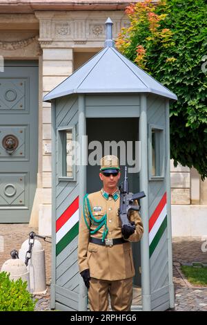 Ein Wachposten, der die südwestliche Schlosstür des Sandor-Palastes (der offiziellen Residenz des ungarischen Präsidenten) in Budapest bewacht Stockfoto