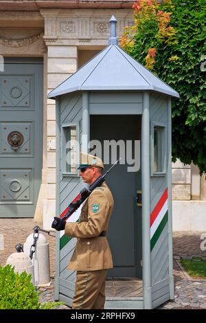 Ein Wachposten, der die südwestliche Schlosstür des Sandor-Palastes (der offiziellen Residenz des ungarischen Präsidenten) in Budapest bewacht Stockfoto