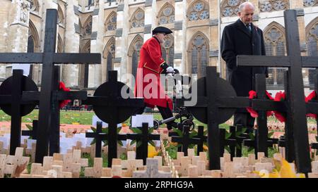 191107 -- LONDON, 7. November 2019 Xinhua -- am 7. November 2019 besuchen die Menschen das 91st Field of Remembrance in der Westminster Abbey in London. Das Feld der Erinnerung findet seit 1928 auf dem Gelände der Abtei statt. In diesem Jahr wurden hunderte kleine Kreuze mit Mohnblüten auf dem Feld der Erinnerung gepflanzt, um britischen Soldaten und Frauen, die in Konflikten ihr Leben verloren haben, Tribut zu zollen. Foto von Ray Tang/Xinhua BRITAIN-LONDON-91ST FIELD OF REMEMENCE-WESTMINSTER ABBEY PUBLICATIONxNOTxINxCHN Stockfoto