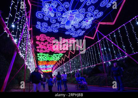 191110 -- LOS ANGELES, 10. November 2019 -- Menschen sehen Lichtinstallationen während des Moonlight Forest Magical Lantern Art Festivals im Los Angeles County Arboretum und Botanic Garden in Los Angeles, USA, 9. November 2019. Foto: /Xinhua U.S.-LOS ANGELES-LATERNE ART FESTIVAL QianxWeizhong PUBLICATIONxNOTxINxCHN Stockfoto