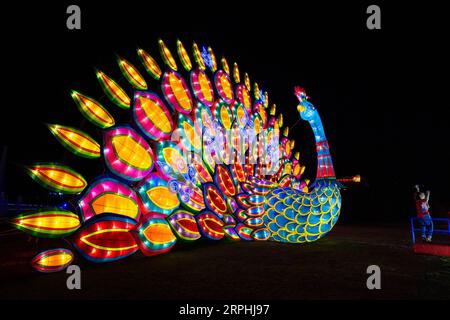 191110 -- LOS ANGELES, 10. November 2019 -- Eine Lichtinstallation wird während des Moonlight Forest Magical Lantern Art Festival im Los Angeles County Arboretum and Botanic Garden in Los Angeles, USA, am 9. November 2019 gezeigt. Foto: /Xinhua U.S.-LOS ANGELES-LATERNE ART FESTIVAL QianxWeizhong PUBLICATIONxNOTxINxCHN Stockfoto