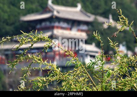 191113 -- ZHENGZHOU, 13. November 2019 -- Foto aufgenommen am 26. März 2019 zeigt den Xiangshan-Tempel in der landschaftlich reizvollen Gegend der Longmen Grotten in Luoyang, der zentralchinesischen Provinz Henan. CHINA-HENAN-LONGMEN GROTTEN CN LixAn PUBLICATIONxNOTxINxCHN Stockfoto