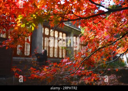 191118 -- PEKING, 18. November 2019 -- Eine Frau posiert für Fotos in der Nähe des Ruqin-Sees am malerischen Ort Lushan in der ostchinesischen Provinz Jiangxi, 17. November 2019. XINHUA FOTOS DES TAGES HuxChenhuan PUBLICATIONxNOTxINxCHN Stockfoto