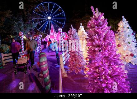 191122 -- VANCOUVER, 22. November 2019 Xinhua -- Menschen gehen an Dekorationen während des Aurora Winter Festivals in Vancouver, Kanada vorbei. Nov. 2019. Auf 15 Hektar Fläche verwandelt sich das Aurora Winter Festival mit Lichterscheinungen und Urlaubsattraktionen in ein Winterwunderland. Foto von Liang Sen/Xinhua CANADA-VANCOUVER-WINTER-FESTIVAL PUBLICATIONxNOTxINxCHN Stockfoto