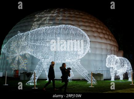 191122 -- VANCOUVER, 22. November 2019 Xinhua -- Menschen gehen an Lichtvorführungen während des Aurora Winter Festivals in Vancouver, Kanada vorbei. Nov. 2019. Auf 15 Hektar Fläche verwandelt sich das Aurora Winter Festival mit Lichterscheinungen und Urlaubsattraktionen in ein Winterwunderland. Foto von Liang Sen/Xinhua CANADA-VANCOUVER-WINTER-FESTIVAL PUBLICATIONxNOTxINxCHN Stockfoto