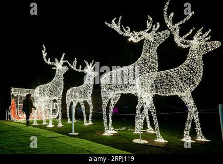 191122 -- VANCOUVER, 22. November 2019 Xinhua -- Ein Besucher steht bei Lichtvorführungen während des Aurora Winter Festivals in Vancouver, Kanada. Nov. 2019. Auf 15 Hektar Fläche verwandelt sich das Aurora Winter Festival mit Lichterscheinungen und Urlaubsattraktionen in ein Winterwunderland. Foto von Liang Sen/Xinhua CANADA-VANCOUVER-WINTER-FESTIVAL PUBLICATIONxNOTxINxCHN Stockfoto