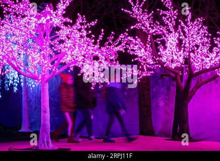 191122 -- VANCOUVER, 22. November 2019 Xinhua -- Menschen gehen an Lichtvorführungen während des Aurora Winter Festivals in Vancouver, Kanada vorbei. Nov. 2019. Auf 15 Hektar Fläche verwandelt sich das Aurora Winter Festival mit Lichterscheinungen und Urlaubsattraktionen in ein Winterwunderland. Foto von Liang Sen/Xinhua CANADA-VANCOUVER-WINTER-FESTIVAL PUBLICATIONxNOTxINxCHN Stockfoto