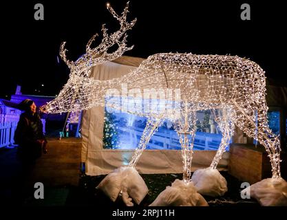 191122 -- VANCOUVER, 22. November 2019 Xinhua -- Ein Besucher steht bei einer Lichtausstellung während des Aurora Winter Festivals in Vancouver, Kanada. Nov. 2019. Auf 15 Hektar Fläche verwandelt sich das Aurora Winter Festival mit Lichterscheinungen und Urlaubsattraktionen in ein Winterwunderland. Foto von Liang Sen/Xinhua CANADA-VANCOUVER-WINTER-FESTIVAL PUBLICATIONxNOTxINxCHN Stockfoto