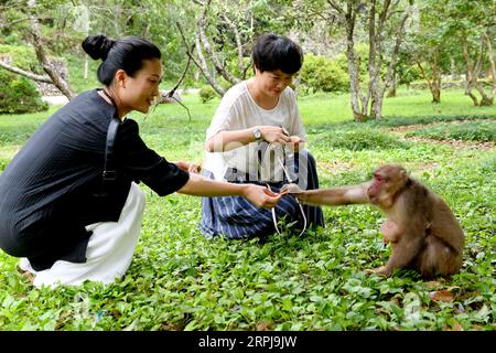 191202 -- WUYISHAN, 2. Dezember 2019 -- Touristen füttern einen Affen im Wuyi Mountain Nature Reserve in der südöstlichen chinesischen Provinz Fujian, 20. Juli 2019. Der Berg Wuyi wurde 1999 von der UNESCO als Kultur- und Naturerbe-Schutzgebiet anerkannt. CHINA-FUJIAN-WUYI BERGKULISSE CN ZHANGXGUOJUN PUBLICATIONXNOTXINXCHN Stockfoto