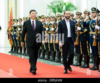 191203 -- PEKING, 3. Dezember 2019 -- der chinesische Präsident Xi Jinping hält eine Begrüßungszeremonie für den Präsidenten von El Salvador, Nayib Armando Bukele Ortez, vor ihren Gesprächen in der Großen Halle des Volkes in Peking, der Hauptstadt Chinas, am 3. Dezember 2019 ab. CHINA-PEKING-XI JINPING-EL SALVADOR-PRÄSIDENT-GESPRÄCHE CN LIXTAO PUBLICATIONXNOTXINXCHN Stockfoto