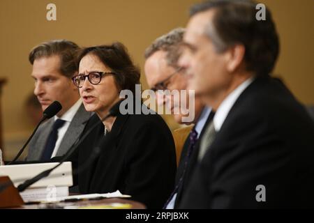 191204 -- WASHINGTON, 4. Dezember 2019 -- Stanford University Law Professor Pamela Karlan 2nd L bezeugt vor dem US House Judiciary Committee on Capitol Hill in Washington D.C., USA, am 4. Dezember 2019. Das von der Demokratischen Partei geführte Justizkomitee des Repräsentantenhauses übernahm ein monatelanges Amtsenthebungsverfahren gegen US-Präsident Donald Trump, indem es seine erste Anhörung am Mittwoch abhielt. U.S.-WASHINGTON D.C.-HOUSE-JUDICIARY COMMITTEE-HEARING-IMPEACHMENT INVESTIGATION-TRUMP LIUXJIE PUBLICATIONXNOTXINXCHN Stockfoto