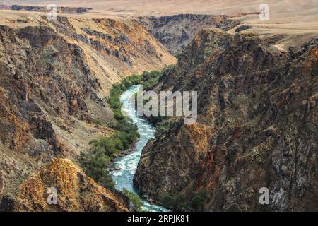 Oberer Teil des Charyn River, der durch den Charyn Canyon in Kasachstan in der Region Almaty fließt Stockfoto