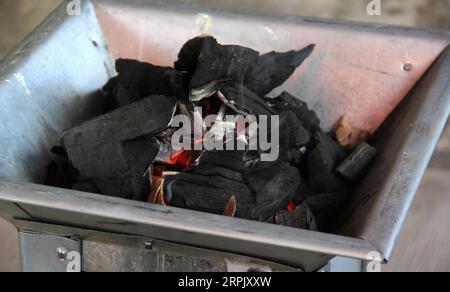Holzkohlestücke auf einem Grillherd, die ein Feuer zum Kochen oder Braten von Fleisch anzünden Stockfoto