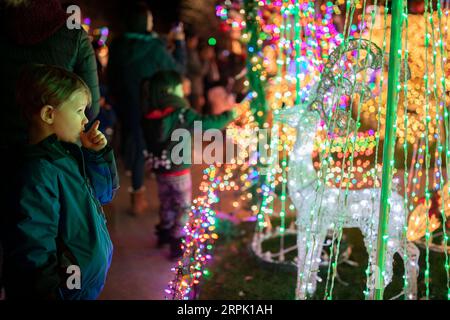 191224 -- SAN FRANCISCO, 24. Dezember 2019 -- Ein Kind schaut sich Weihnachtsdekorationen auf der Eucalyptus Avenue in San Carlos of California, USA, 23. Dezember 2019 an. Foto von /Xinhua U.S.-SAN FRANCISCO-CHRISTMAS-DECORATIONS LixJianguo PUBLICATIONxNOTxINxCHN Stockfoto