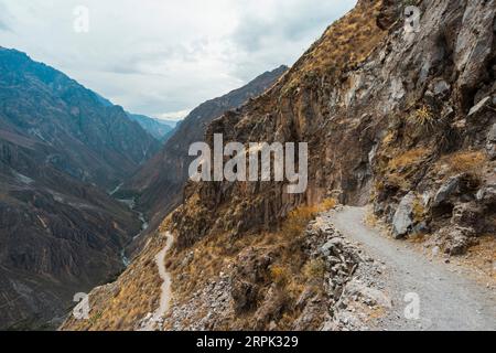 Gewundener Wanderweg zum Colca River Canyon in Peru Stockfoto