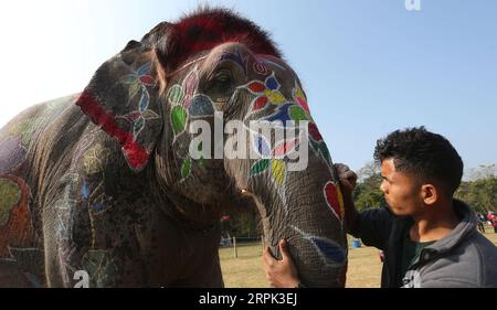 191227 -- CHITWAN, 27. Dezember 2019 -- Ein Mahout schmückt seinen Elefanten während des vor Ort stattfindenden Elefantendekorationswettbewerbs während des 16. Elefantenfestivals in Sauraha, einem Tourismuszentrum im südwestlichen nepalesischen Bezirk Chitwan, 27. Dezember 2019. Ziel der jährlichen Veranstaltung ist es, die Menschen näher an die Elefanten heranzuführen, den Schutz und die Erhaltung der Wildtiere zu fördern und den Tourismus in der Region zu fördern. Die diesjährige Veranstaltung wird zur Förderung der Kampagne „Besuchen Sie Nepal 2020“ organisiert. Foto von /Xinhua NEPAL-CHITWAN-ELEPHANT FESTIVAL-DEKORATIONSWETTBEWERB SunilxSharma PUBLICATIONxNOTxINxCHN Stockfoto