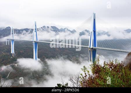191230 -- PINGTANG, 30. Dezember 2019 -- Foto aufgenommen am 30. Dezember 2019 zeigt die Pingtang-Brücke in der südwestchinesischen Provinz Guizhou. Die Pingtang-Brücke in der südwestchinesischen Provinz Guizhou, die den höchsten Betonbrückenturm der Welt hat, wurde am Montag für den Verkehr geöffnet, so die lokalen Behörden. In der autonomen Präfektur Qiannan in Bouyei-Miao wird die Brücke, ein kolossales, kabelgestütztes Viadukt, das sich über 2.135 Meter über einen Canyon erstreckt, als Hauptverbindung auf dem Pingtang-Luodian Expressway dienen. Insgesamt wurden 1,5 Milliarden Yuan, rund 215 Millionen US-Dollar, in den Constr investiert Stockfoto