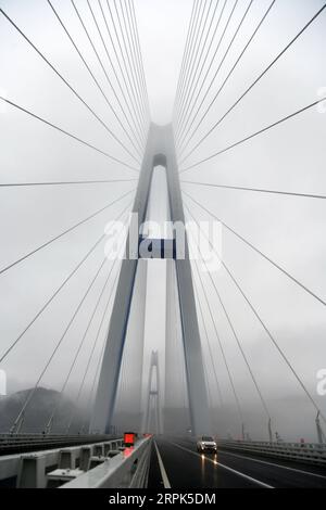 191230 -- PINGTANG, 30. Dezember 2019 -- Foto aufgenommen am 30. Dezember 2019 zeigt die Pingtang-Brücke in der südwestchinesischen Provinz Guizhou. Die Pingtang-Brücke in der südwestchinesischen Provinz Guizhou, die den höchsten Betonbrückenturm der Welt hat, wurde am Montag für den Verkehr geöffnet, so die lokalen Behörden. In der autonomen Präfektur Qiannan in Bouyei-Miao wird die Brücke, ein kolossales, kabelgestütztes Viadukt, das sich über 2.135 Meter über einen Canyon erstreckt, als Hauptverbindung auf dem Pingtang-Luodian Expressway dienen. Insgesamt wurden 1,5 Milliarden Yuan, rund 215 Millionen US-Dollar, in den Constr investiert Stockfoto