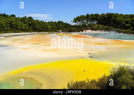 200104 -- WELLINGTON, 4. Januar 2020 -- Foto aufgenommen am 3. Januar 2020 zeigt die Landschaft des Wai-O-Tapu Thermalwunderlandes in Rotorua, Neuseeland. Das Thermalwunderland Wai-O-Tapu ist Teil eines malerischen Naturschutzgebiets, das sich über 18 Quadratkilometer erstreckt. Er wurde vor etwa 160.000 Jahren gegründet und ist mit kollabierten Kratern, kalten und kochenden Schlamm-, Wasser- und dampfenden Fumarolen bedeckt. Aufgrund unterschiedlicher Mineralzusammensetzungen hat das Poolwasser im Park verschiedene Farben wie Grün, Rot, Gelb und Bronze. NEUSEELAND-ROTORUA-WAI-O-TAPU THERMAL WONDERLAND GUOXLEI PUBLICATIONXNOTXINXCHN Stockfoto