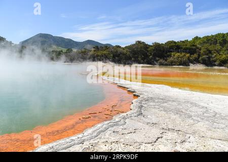 200104 -- WELLINGTON, 4. Januar 2020 -- Foto aufgenommen am 3. Januar 2020 zeigt die Landschaft des Wai-O-Tapu Thermalwunderlandes in Rotorua, Neuseeland. Das Thermalwunderland Wai-O-Tapu ist Teil eines malerischen Naturschutzgebiets, das sich über 18 Quadratkilometer erstreckt. Er wurde vor etwa 160.000 Jahren gegründet und ist mit kollabierten Kratern, kalten und kochenden Schlamm-, Wasser- und dampfenden Fumarolen bedeckt. Aufgrund unterschiedlicher Mineralzusammensetzungen hat das Poolwasser im Park verschiedene Farben wie Grün, Rot, Gelb und Bronze. NEUSEELAND-ROTORUA-WAI-O-TAPU THERMAL WONDERLAND GUOXLEI PUBLICATIONXNOTXINXCHN Stockfoto