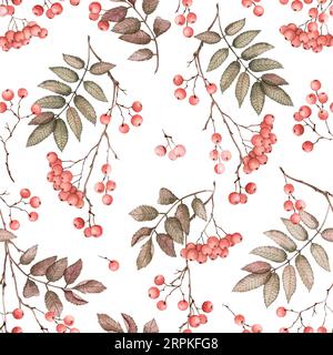 Handbemaltes, nahtloses Muster in aquarellfarben mit eberesästen, Beeren und Blättern. Perfekt für Grußkarten, Einladungen und Verpackungen im Herbst Stockfoto
