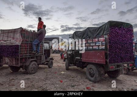 200111 -- SANYA, 11. Januar 2020 -- Bauern laden Gemüse im Bezirk Yazhou in Sanya, südchinesische Provinz Hainan, 6. Januar 2020. Der Bezirk Yazhou ist ein wichtiger Drehscheibe der Gemüseproduktion in der Provinz Hainan. Foto von /Xinhua CHINA-HAINAN-VEGETABLE-PRODUCTION CN PuxXiaoxu PUBLICATIONxNOTxINxCHN Stockfoto