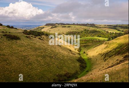 Das dramatische Tal des Devils Deiches in den südlichen Tiefen westlich von Sussex im Südosten Englands Stockfoto