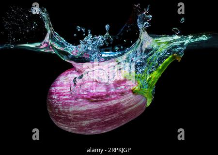 Nahaufnahme einer Zebra-Aubergine, die unter Wasser mit Spritzern auf Schwarz gefallen ist. Stockfoto