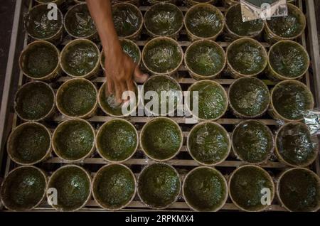 200114 -- BANDUNG, 14. Januar 2020 -- Ein Arbeiter bereitet dodol zu, eine Art traditioneller Snack, der während der chinesischen Neujahrsfeiern in Bandung, Indonesien, am 14. Januar 2020 serviert wird. Die chinesischen Gemeinden in Indonesien bereiten sich auf das bevorstehende chinesische Mondjahr der Ratte vor, das am 25. Januar dieses Jahres beginnt. Foto von /Xinhua INDONESIA-BANDUNG-CHINESE NEW YEAR-VORBEREITUNG Septianjar PUBLICATIONxNOTxINxCHN Stockfoto