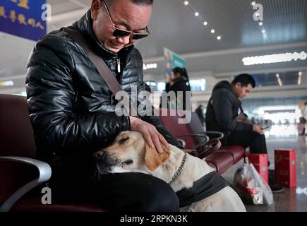 200114 -- ZHENGZHOU, 14. Januar 2020 -- Führhund Xiaoqi kompaniert seinen Handler, während sie auf einen Zug am Zhengzhoudong Bahnhof in Zhengzhou, der zentralchinesischen Provinz Henan, warten, 14. Januar 2020. Der sehbehinderte Passagier mit dem Nachnamen Jin nahm am Dienstag am Bahnhof Zhengzhoudong einen Kugelzug mit seinem Blindenhund Xiaoqi. Er rief den Bahnhof an, um Hilfe zu erhalten. Das Personal des Bahnhofs arbeitete sofort einen Plan aus, um sicherzustellen, dass der Fahrgast und sein Blindenhund eine bequeme und sichere Fahrt ohne Hindernisse haben. CHINA-HENAN-ZHENGZHOU-GUIDE HUNDEFRÜHLING-FESTIVAL Stockfoto