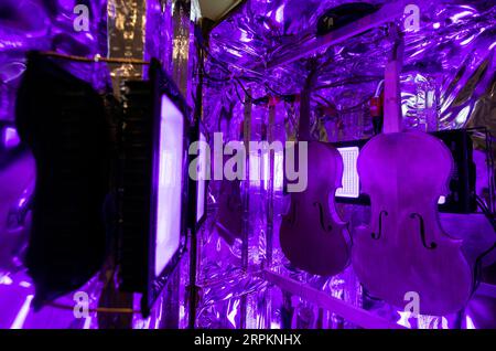 200115 -- CHICAGO, 15. Januar 2020 Xinhua -- Violinen werden in ultraviolettem Licht gebadet, um den Lack an der Chicago School of Violin Making in Skokie, Illinois, USA, am 14. Januar 2020 zu heilen und zu verdunkeln. Die Chicago School of Violin Making, die die traditionellen Fähigkeiten des Instrumentenbaus vermittelt, befindet sich in Skokie, einem Vorort von Chicago. Sie schreibt lokale und internationale Studenten ein, die die Absicht haben, professionelle Geigenbauer und andere Instrumente zu werden. Foto von Joel Lerner/Xinhua U.S.-SKOKIE-CHICAGO SCHOOL OF GEIGENBAU PUBLICATIONxNOTxINxCHN Stockfoto
