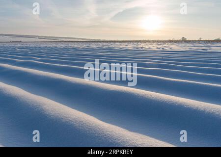 200117 -- HARBIN, 17. Januar 2020 -- Foto aufgenommen am 9. Januar 2020 zeigt schneebedeckte Felder im Fanshen Village im Kedong County in Qiqihar, nordöstliche Provinz Heilongjiang. CHINA-HEILONGJIANG-WINTERLANDSCHAFT CN XiexJianfei PUBLICATIONxNOTxINxCHN Stockfoto