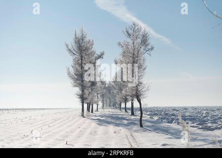 200117 -- HARBIN, 17. Januar 2020 -- Foto aufgenommen am 9. Januar 2020 zeigt schneebedeckte Felder im Dorf Fuxing im Kedong County in Qiqihar, nordöstliche Provinz Heilongjiang. CHINA-HEILONGJIANG-WINTERLANDSCHAFT CN XiexJianfei PUBLICATIONxNOTxINxCHN Stockfoto