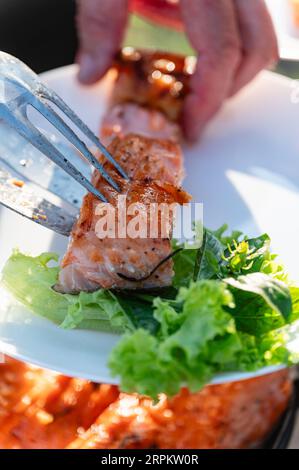 Frisch gekochtes rotes Fischsteak auf dem Grill. Nahaufnahme. Stockfoto